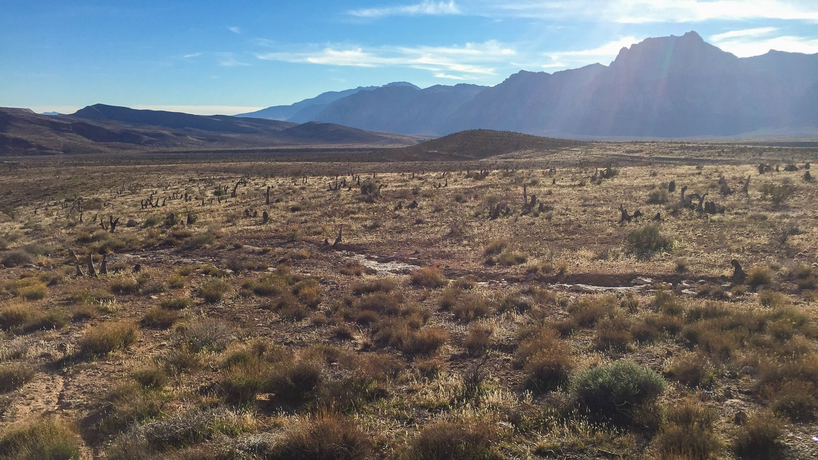 12 049 iPhone6 Steph IMG 4695